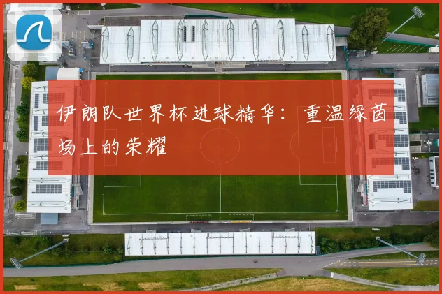 伊朗队世界杯进球精华：重温绿茵场上的荣耀