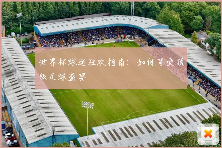 世界杯球迷狂欢指南:如何享受顶级足球盛宴