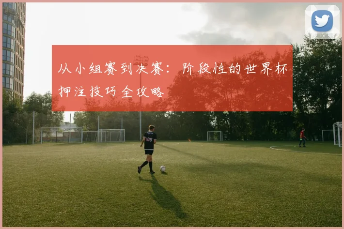 从小组赛到决赛：阶段性的世界杯押注技巧全攻略