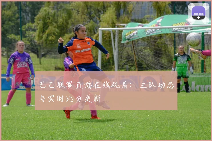 巴乙联赛直播在线观看:主队动态与实时比分更新