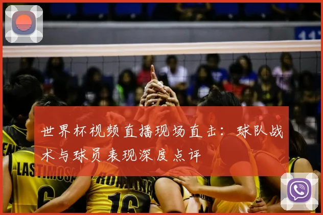 世界杯视频直播现场直击：球队战术与球员表现深度点评